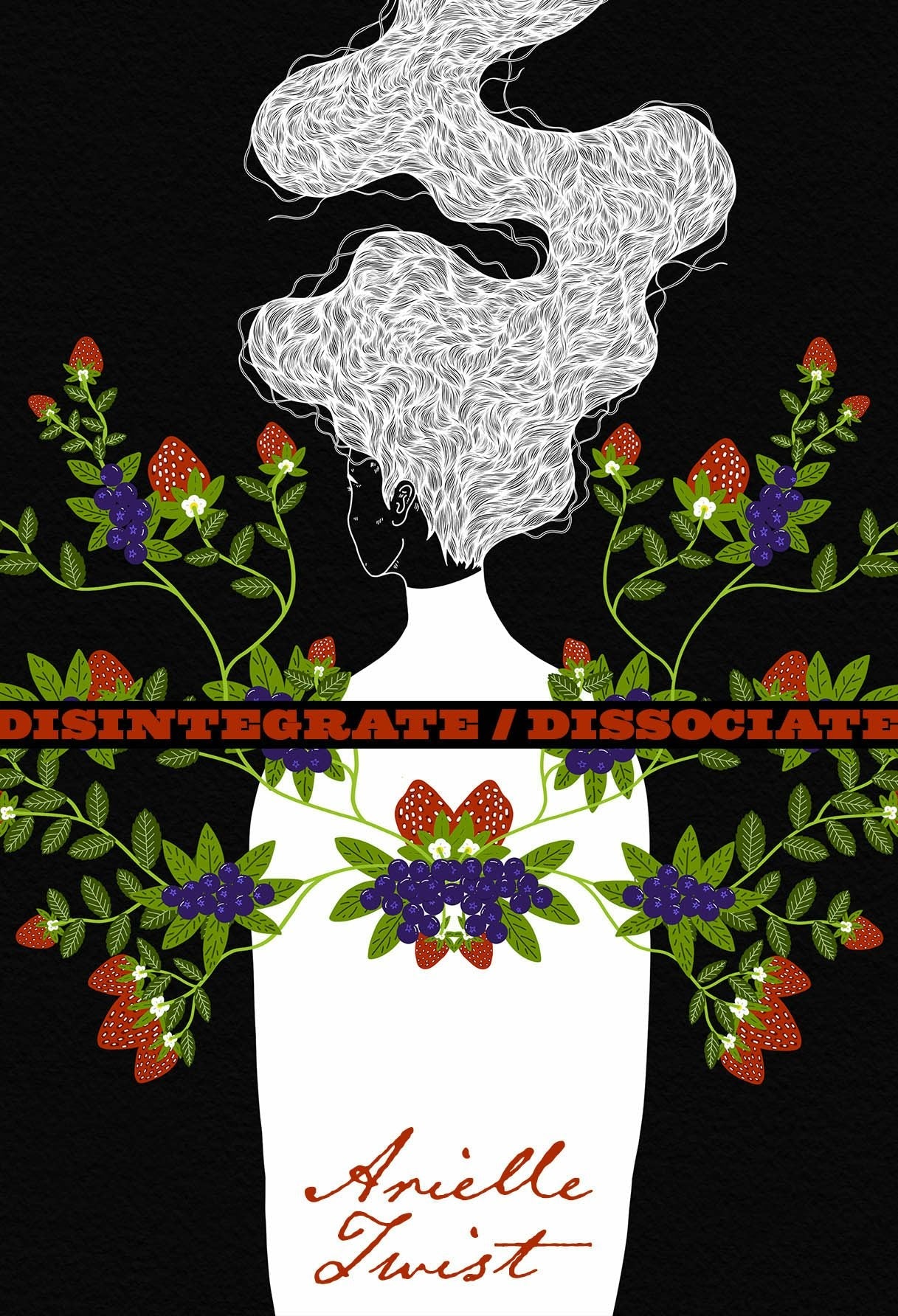 Book cover image for Disintegrate/Dissociate ISBN: 9781551527598